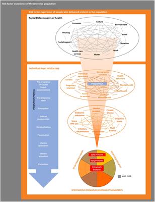 Conceptual framework for preterm birth review in San Francisco